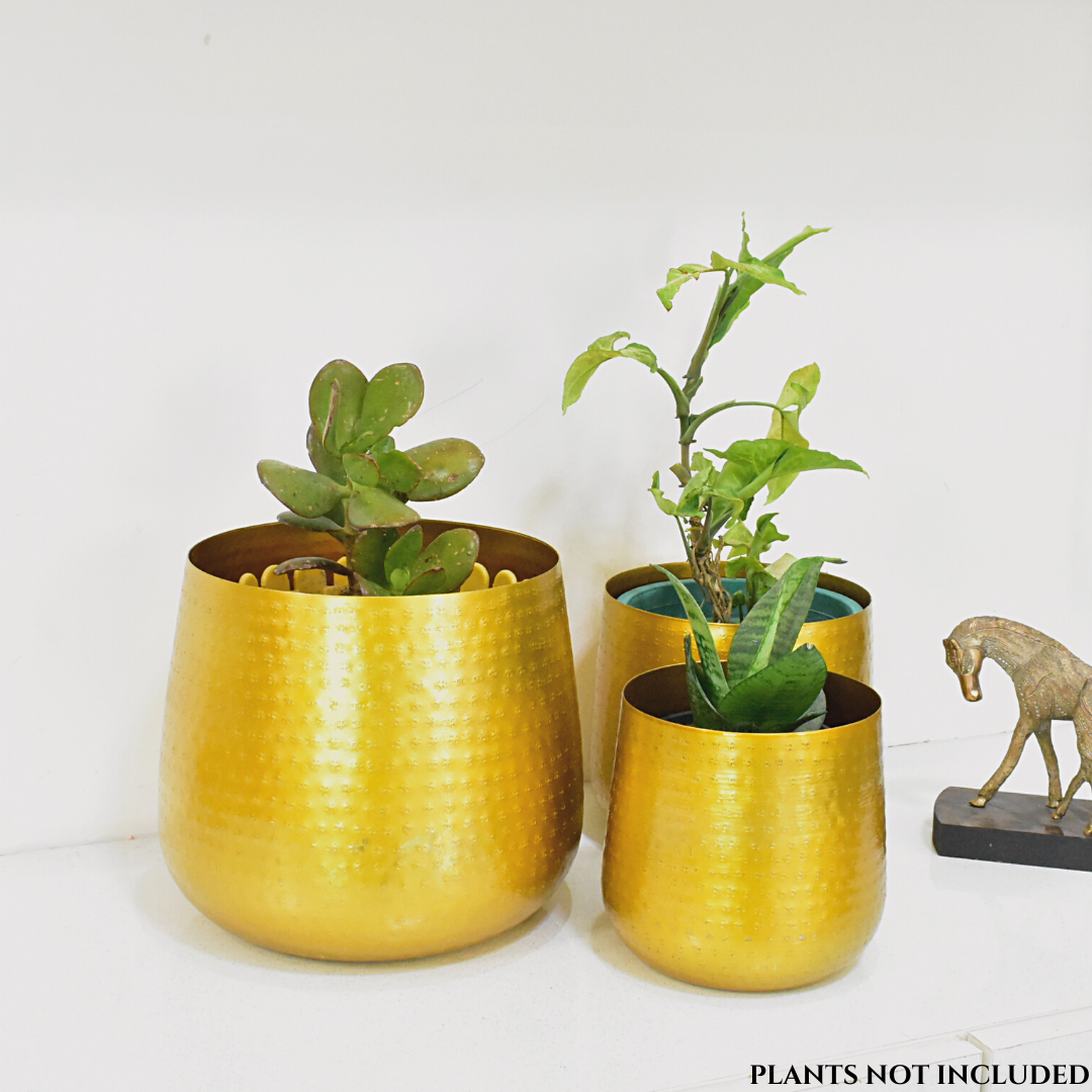 Allura Golden Finish Hammered Indoor Metal Planters For Home & Garden | Set of 3