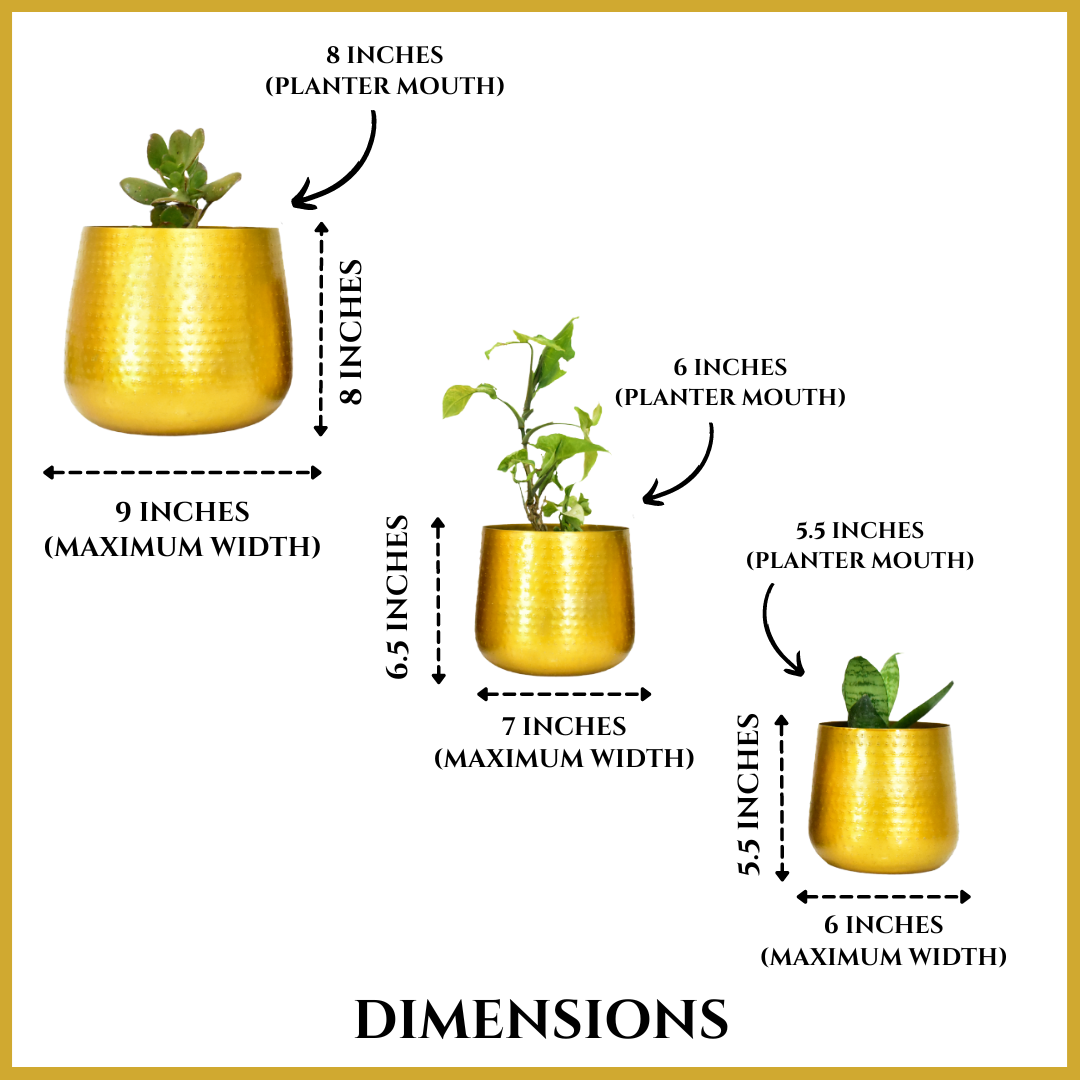 Allura Golden Finish Hammered Indoor Metal Planters For Home & Garden | Set of 3