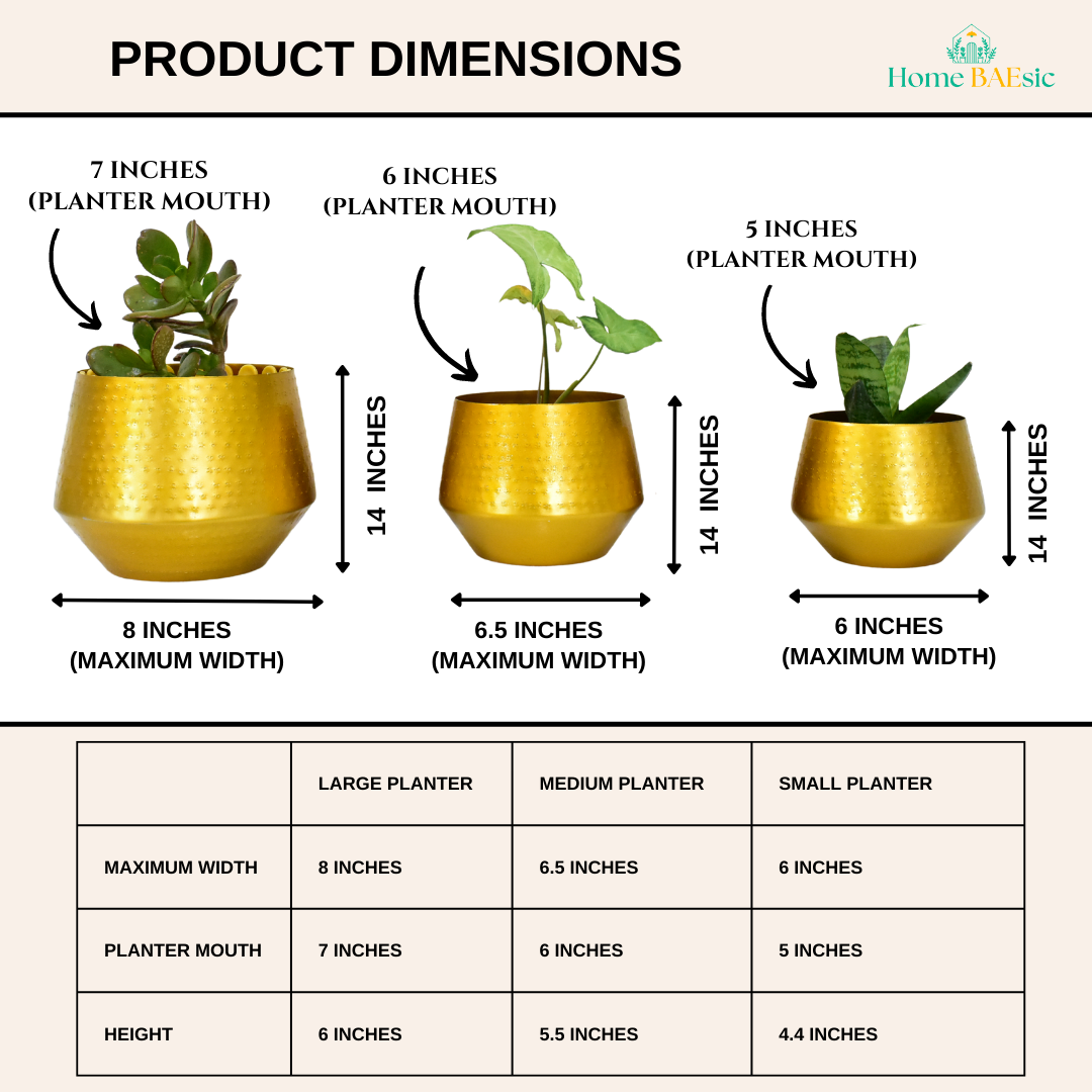 Arizona Golden Finish Textured Indoor Metal Planters For Home & Garden | Set of 3