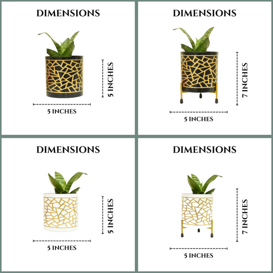 Bumper Saver Combo | Set of 4 Metal Planter With Metal Stand (Golden Black & White Floral + Golden Black & White Mosaic) | Home & Garden | 5 Inches