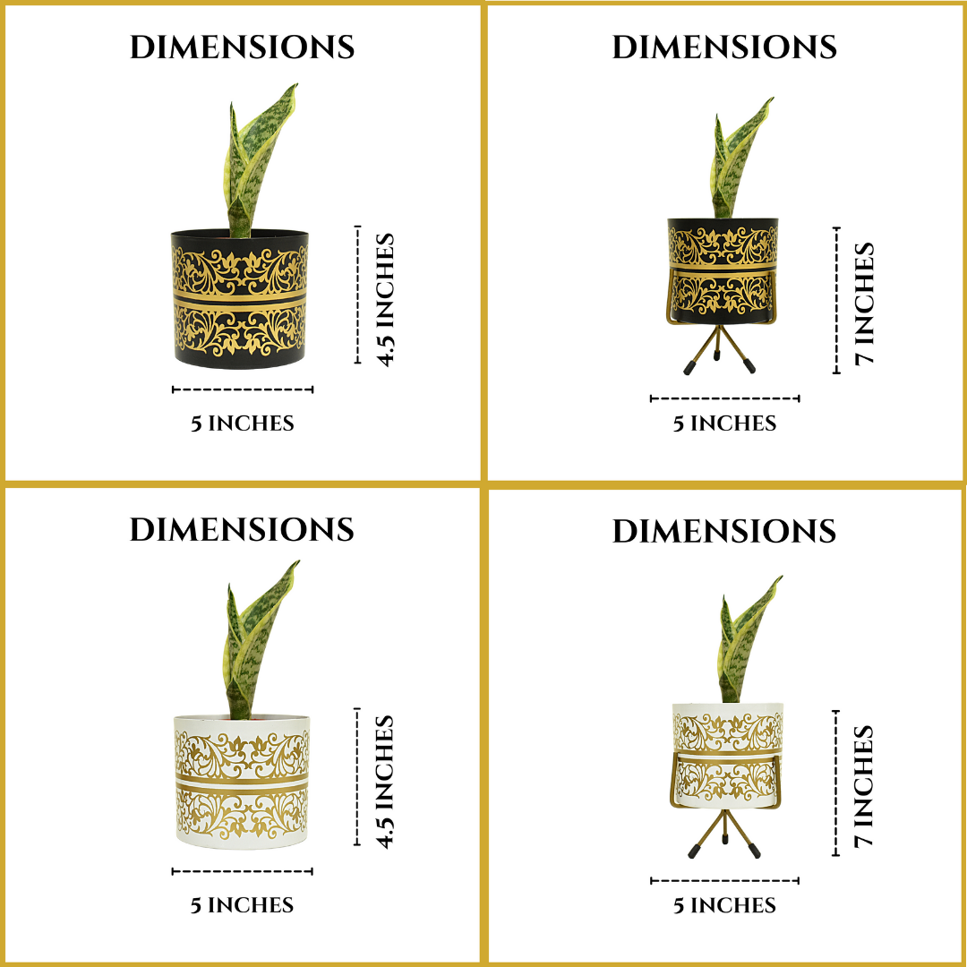 Super Saver Combo | Black & White Golden Floral Indoor Metal Planter With Metal Stand | Home & Garden | 5 Inches