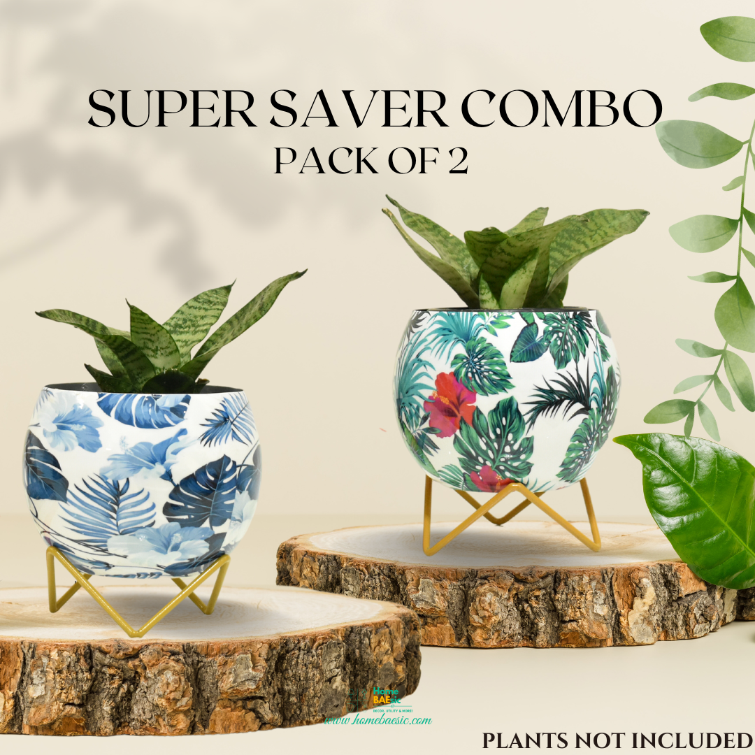 blue monstera plant Shop Super Saver Combo: Blue Monstera & Hibiscus Planters with Stand