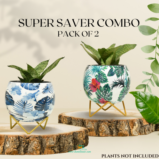 Super Saver Combo | Blue Monstera & Hibiscus Indoor Metal Planter With Metal Stand | Home & Garden | 6 Inches