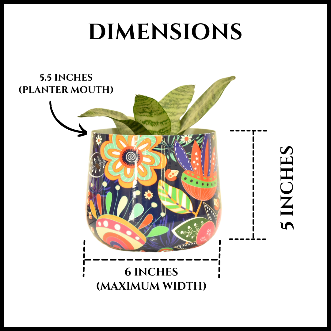Pot and Planter Combo | 6 Inches | Floral Doodle + Yellow Motif + Peacock Motif Tumbler | Home BAEsic | Home and Garden
