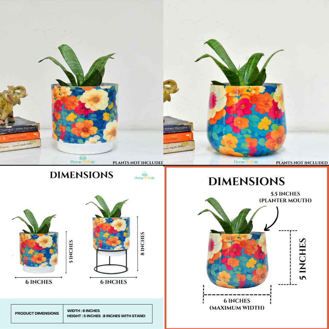 Super Saver Combo | Flower Art Indoor Metal Planters | Home & Garden | 6 Inches