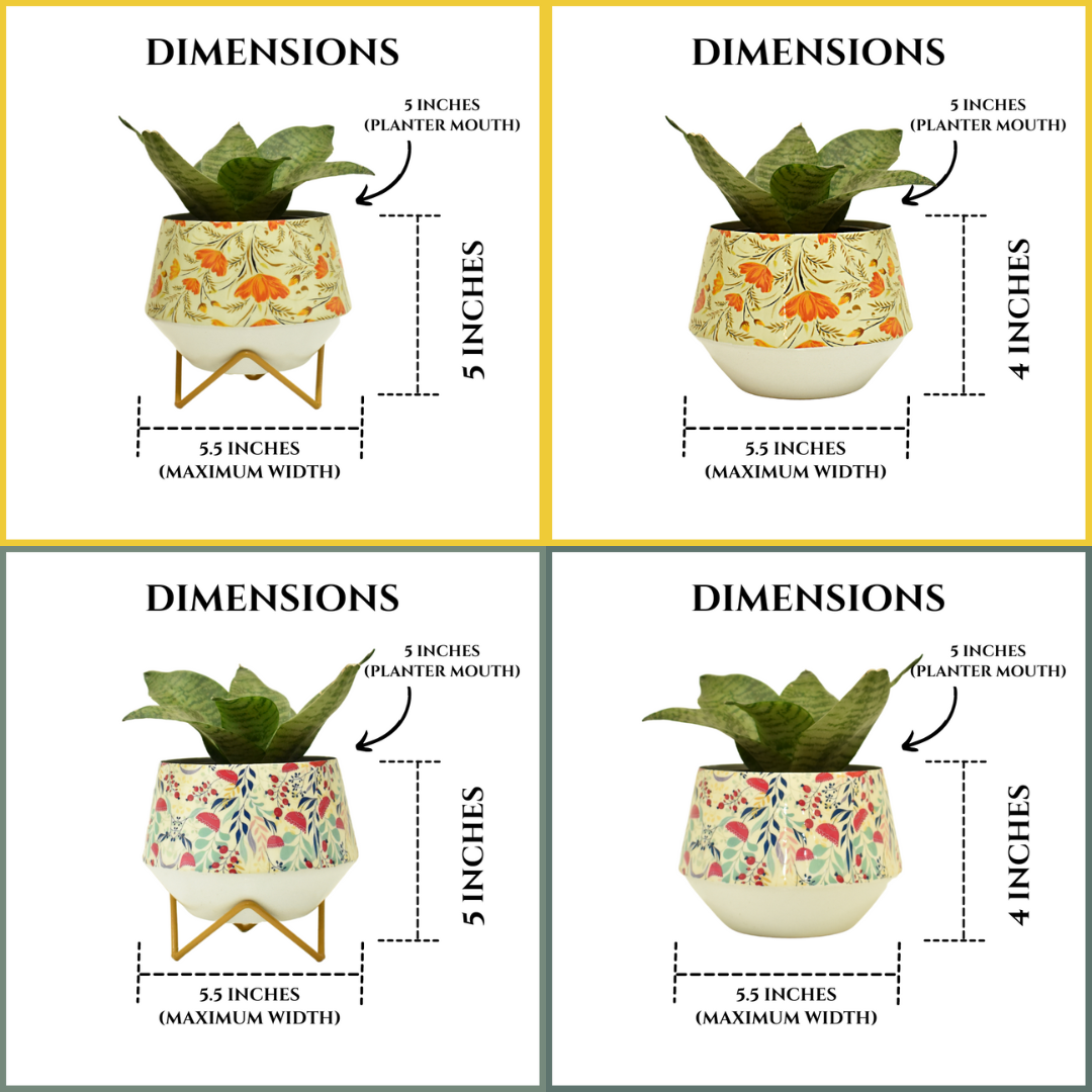 Pot and Planter combo for indoor home and garden | Home BAEsic