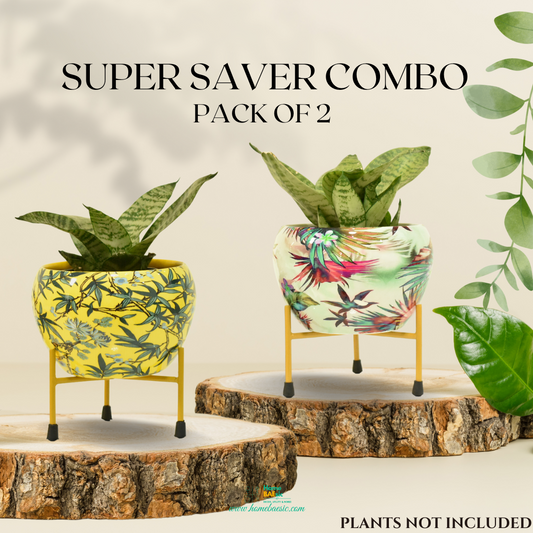 Super Saver Combo | Leafy Yellow & Viola Indoor Metal Planter With Metal Stand | Home & Garden | 6 Inches