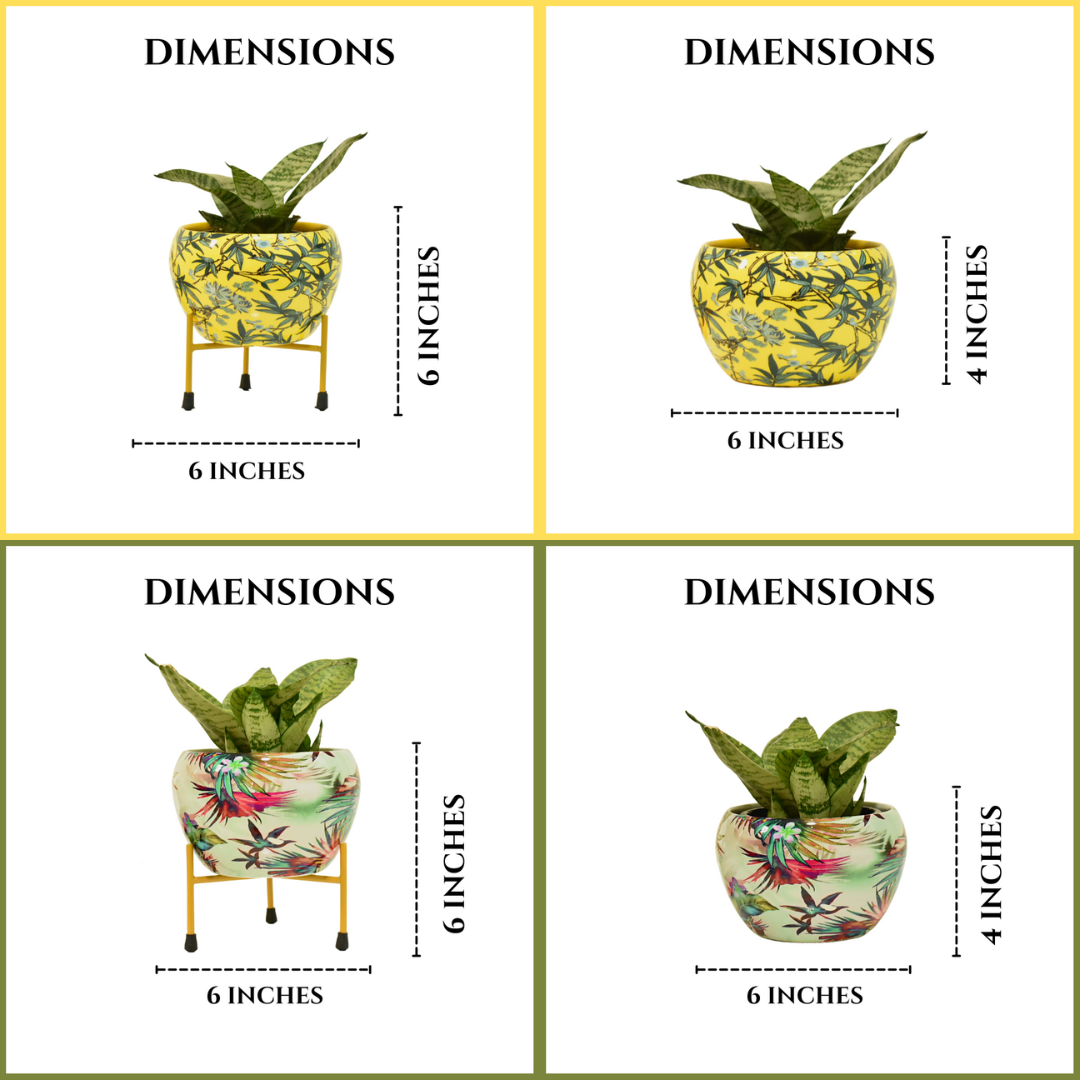 Super Saver Combo | Leafy Yellow & Viola Indoor Metal Planter With Metal Stand | Home & Garden | 6 Inches