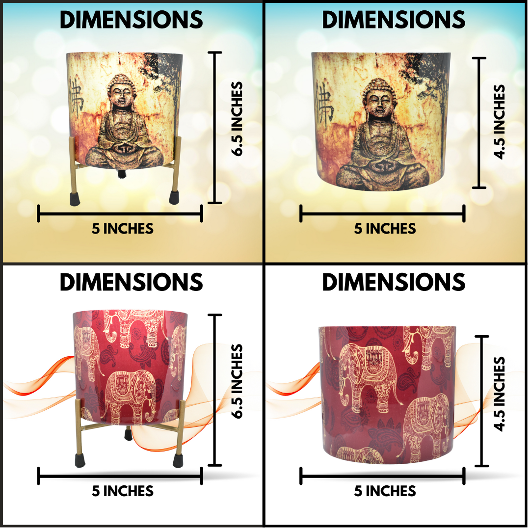 Indoor Pot and Planter Combo for Home and garden | Home BAEsic