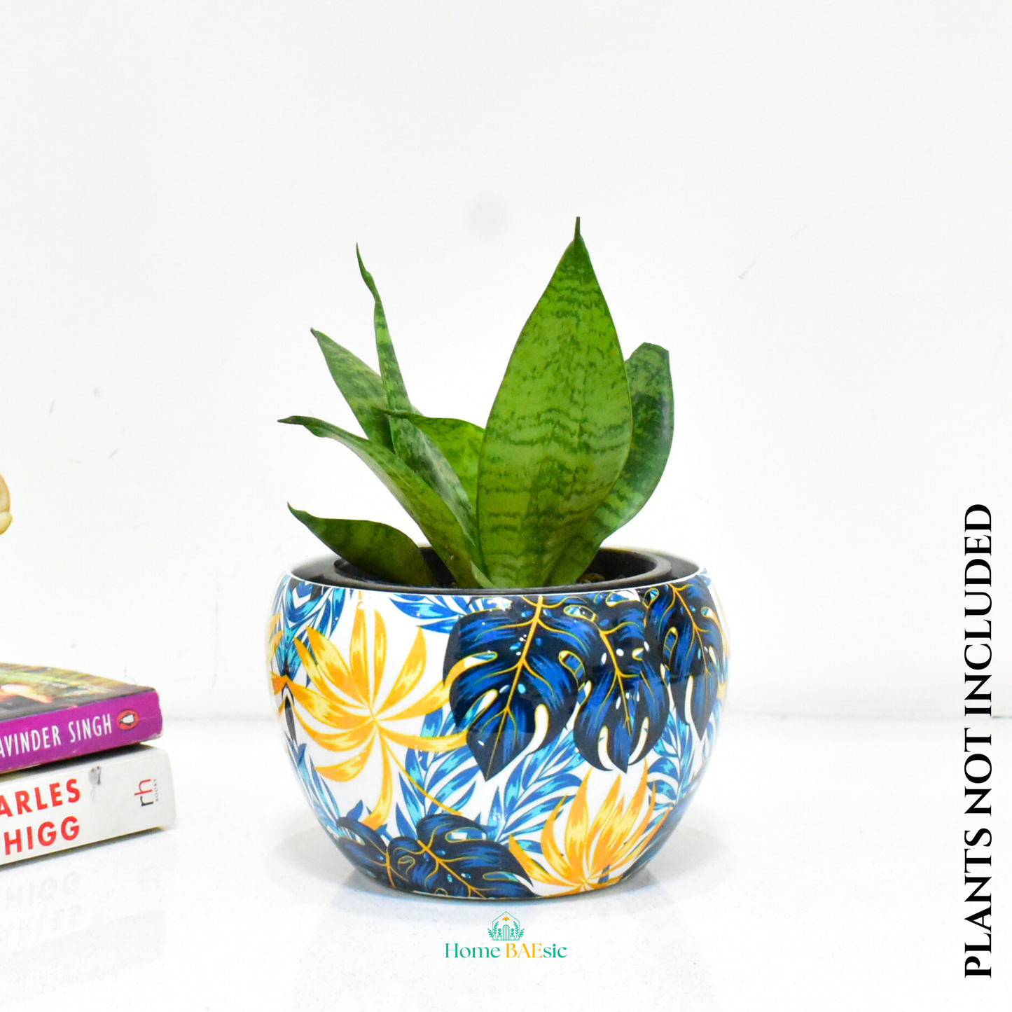 Monstera Vibes Indoor Metal Planter With Metal Stand | Home & Garden | 6 Inches