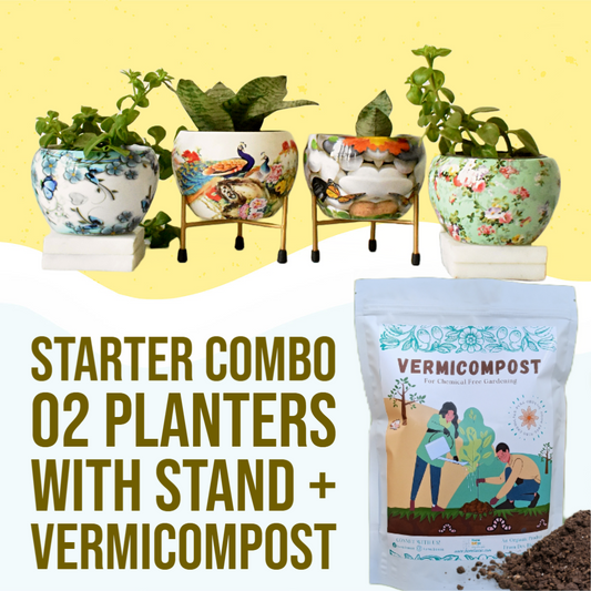 Home BAEsic Home & Garden Starter Combo (02 Planters with stand + 900 Grams Vermicompost)