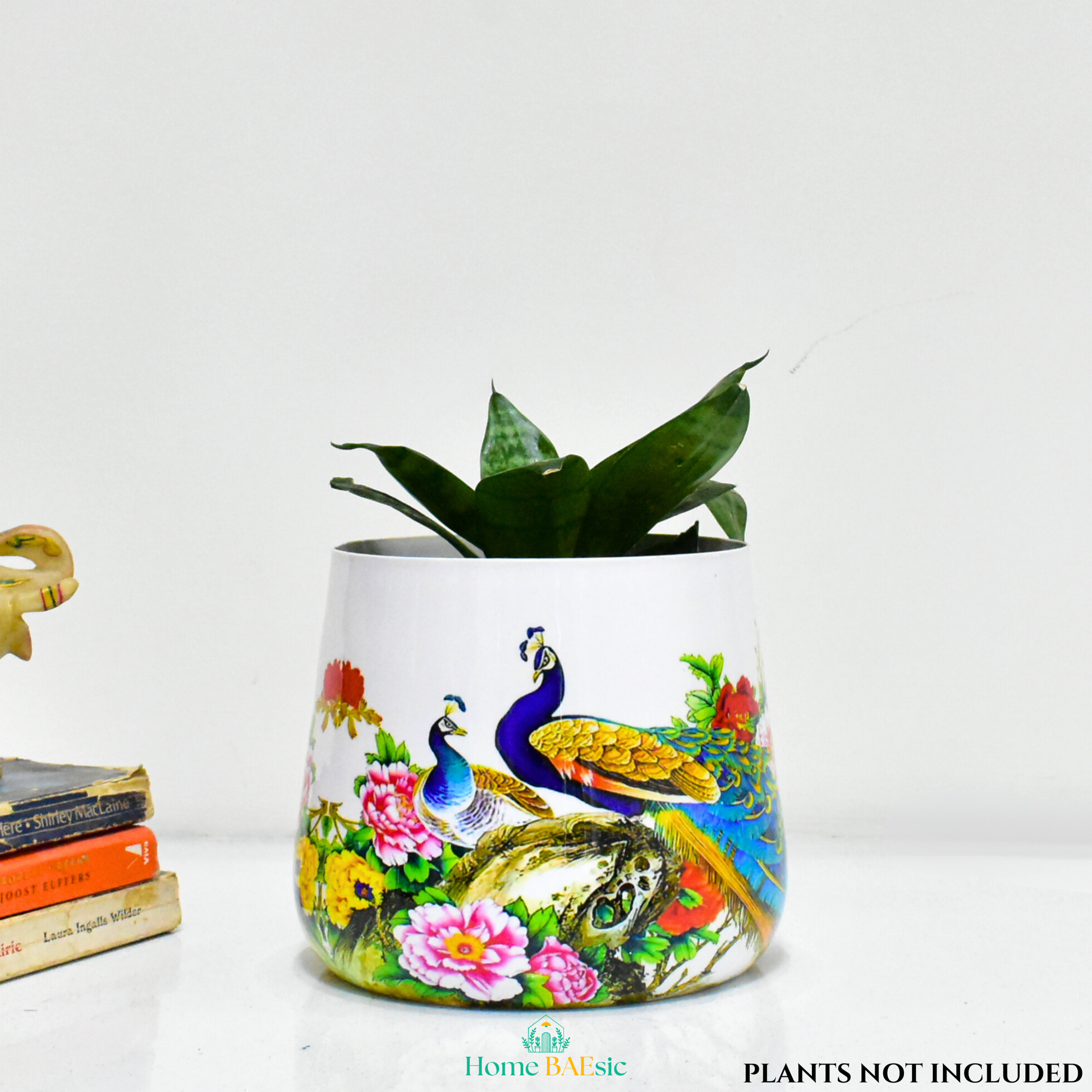 Peacock Design Metal Planter For Indoor Home and Garden 6 inches by Home BAEsic