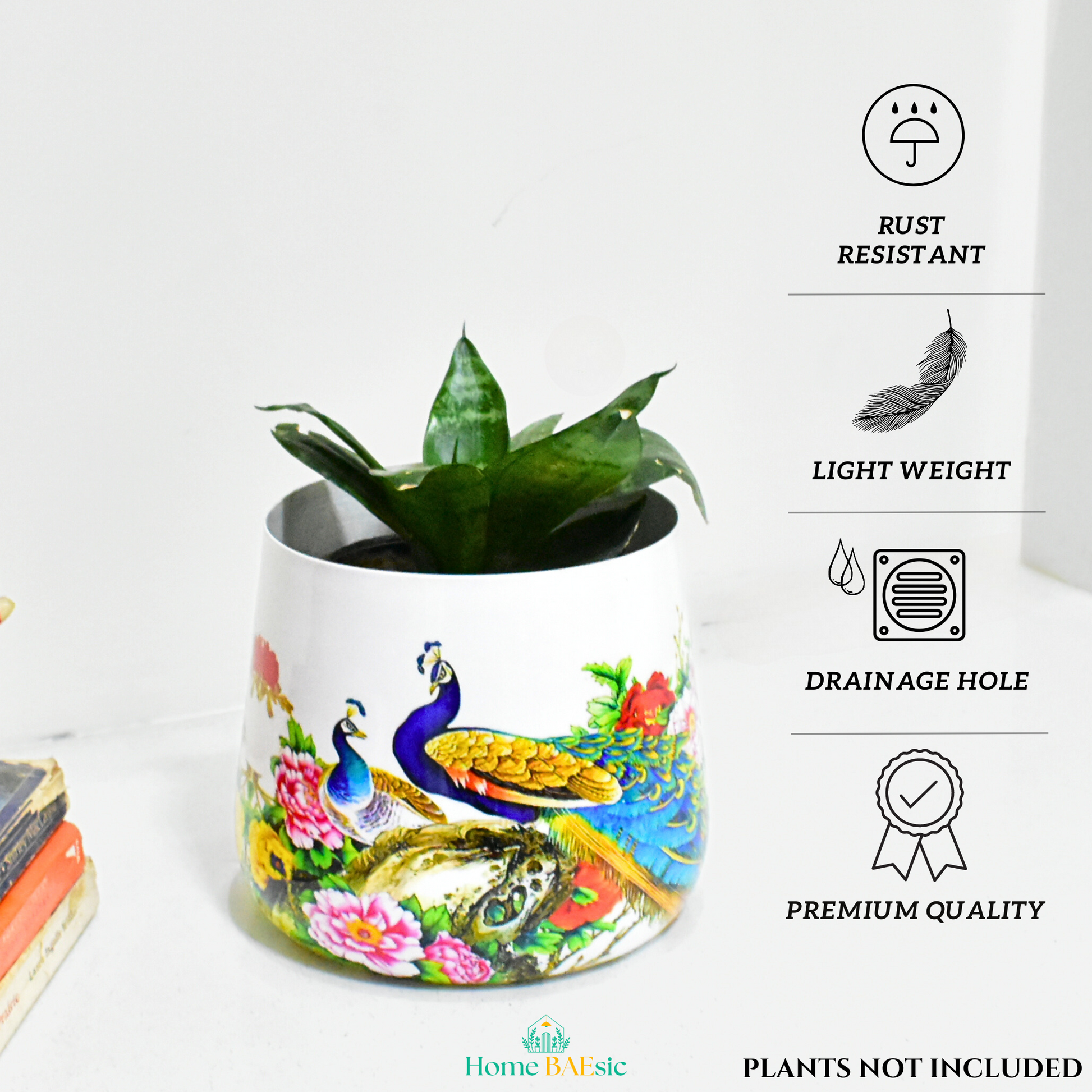 Peacock Design Metal Planter For Indoor Home and Garden 6 inches by Home BAEsic