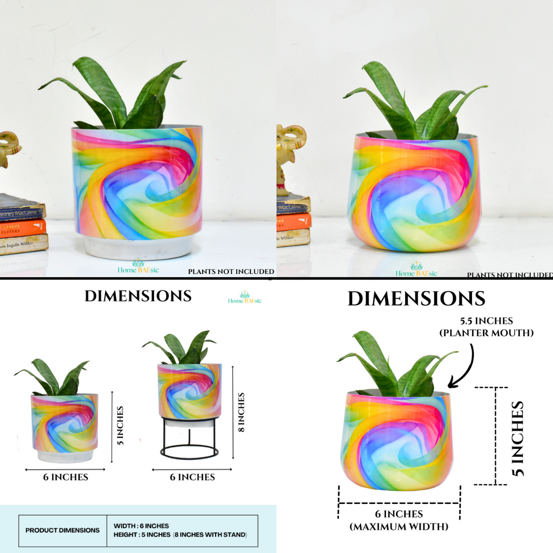 Rainbow Breeze Pot & Planter Combo | 6 Inches | Home BAEsic | Home and Garden