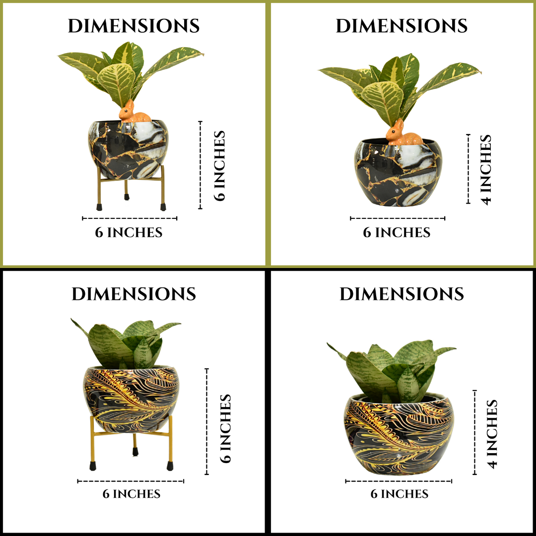 Metal Pot and Planter Combo With Stand | Golden Black and White | Black Golden Asbstract | For Indoor Home and Garden By Home BAEsic