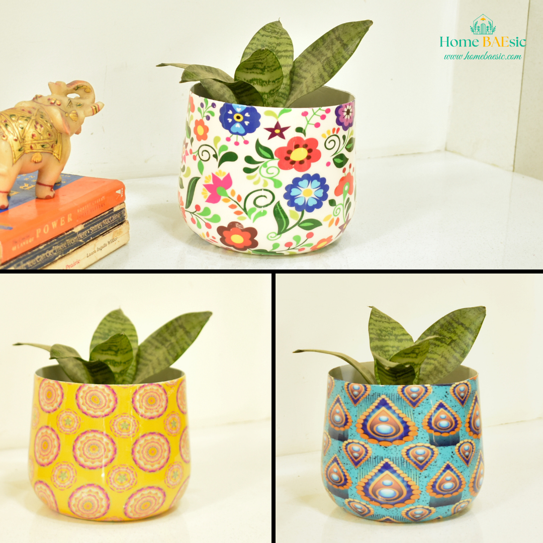 Ultra Saver Combo | Indoor Tumbler Planter for Home & Graden | Home BAEsic