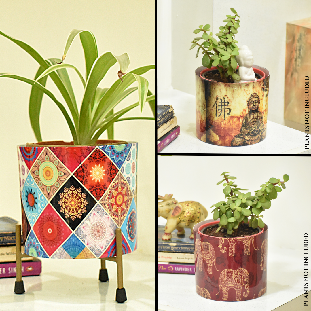 Ultra Saver Combo | Multicolor Motif + Meditating Buddha + Elephant Motif Indoor Metal Planter With Metal Stand | Home & Garden | 5 Inches