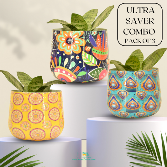 Pot and Planter Combo | 6 Inches | Floral Doodle + Yellow Motif + Peacock Motif Tumbler | Home BAEsic | Home and Garden