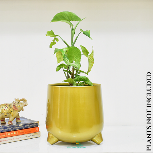 Aurum Glossy Golden Indoor Metal Planter For Home & Garden | 7 Inches