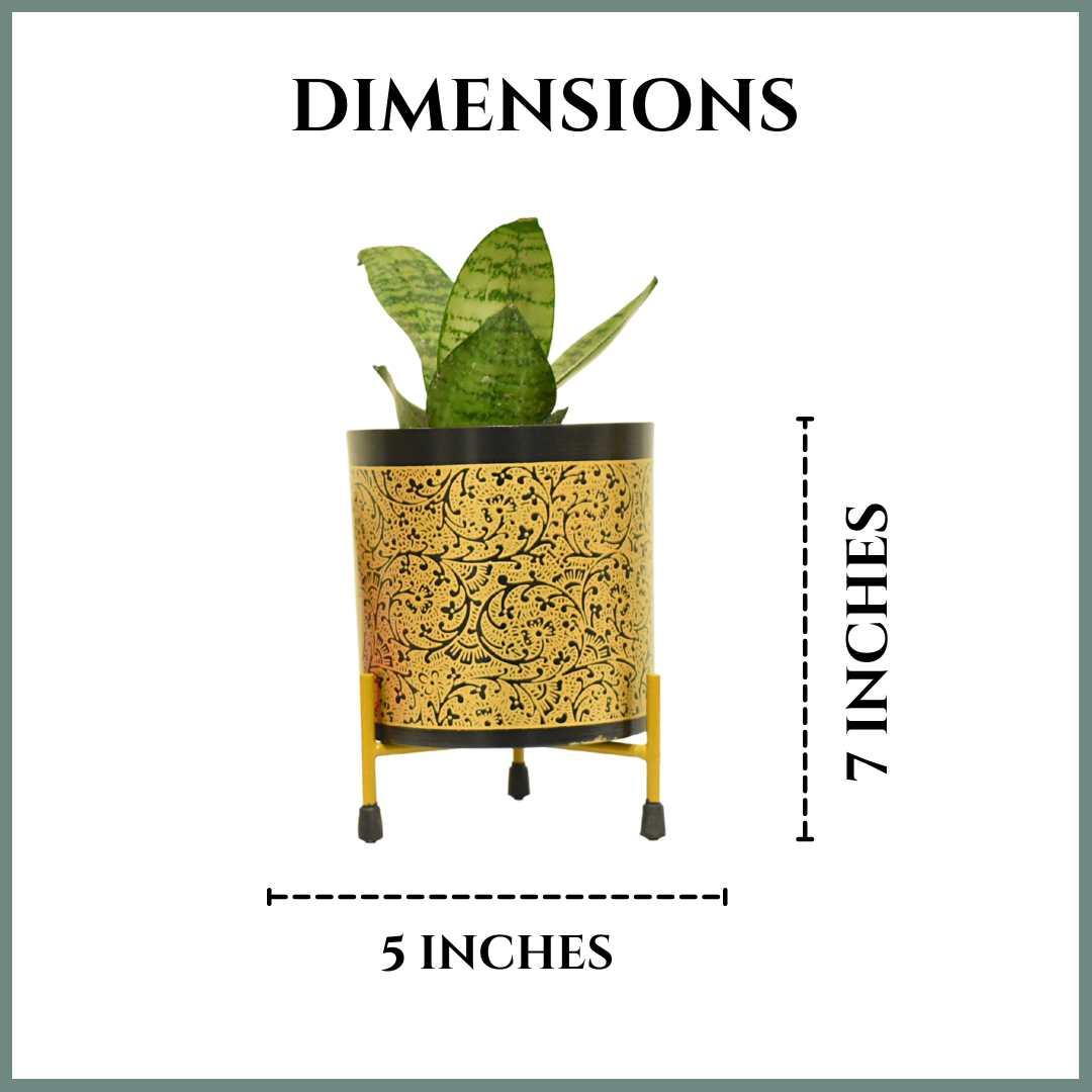 Black & Golden Vines Indoor Metal Planter With Metal Stand | Home & Garden | Home BAEsic 5 Inches