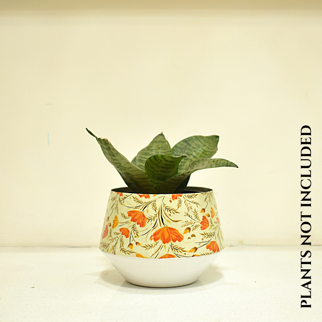 Home BAEsic Happy Poppy 5 Inches Indoor Designer & Decorative Planter with stand for Home & Garden