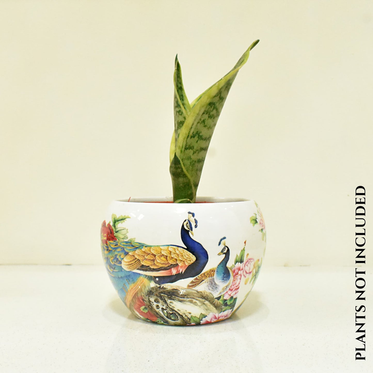 Peacock In Garden Metal Planter Indoor Home & Garden | Home BAEsic