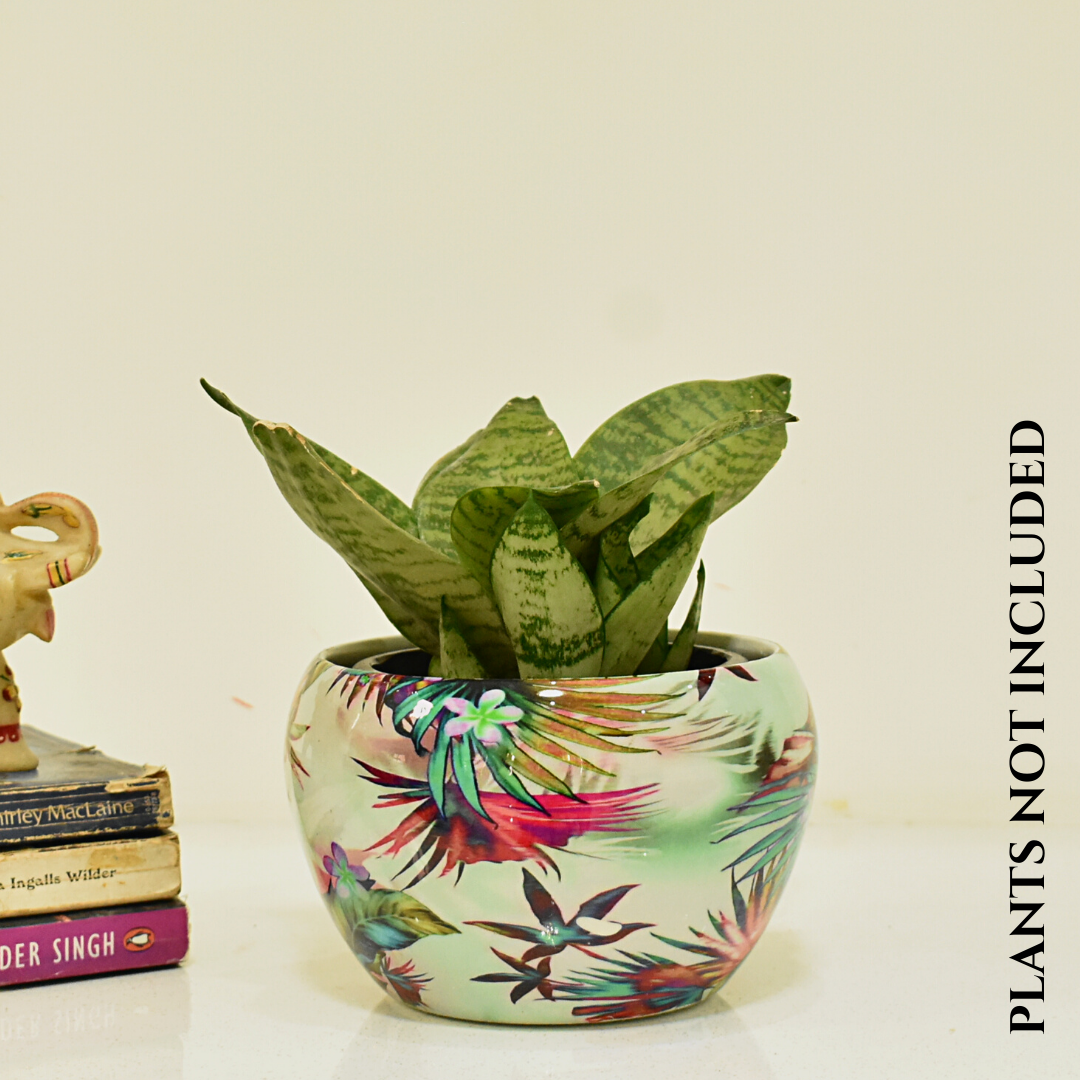 Decorative planter with colorful design. Viola Planter with stand | 6 Inches | Home BAEsic