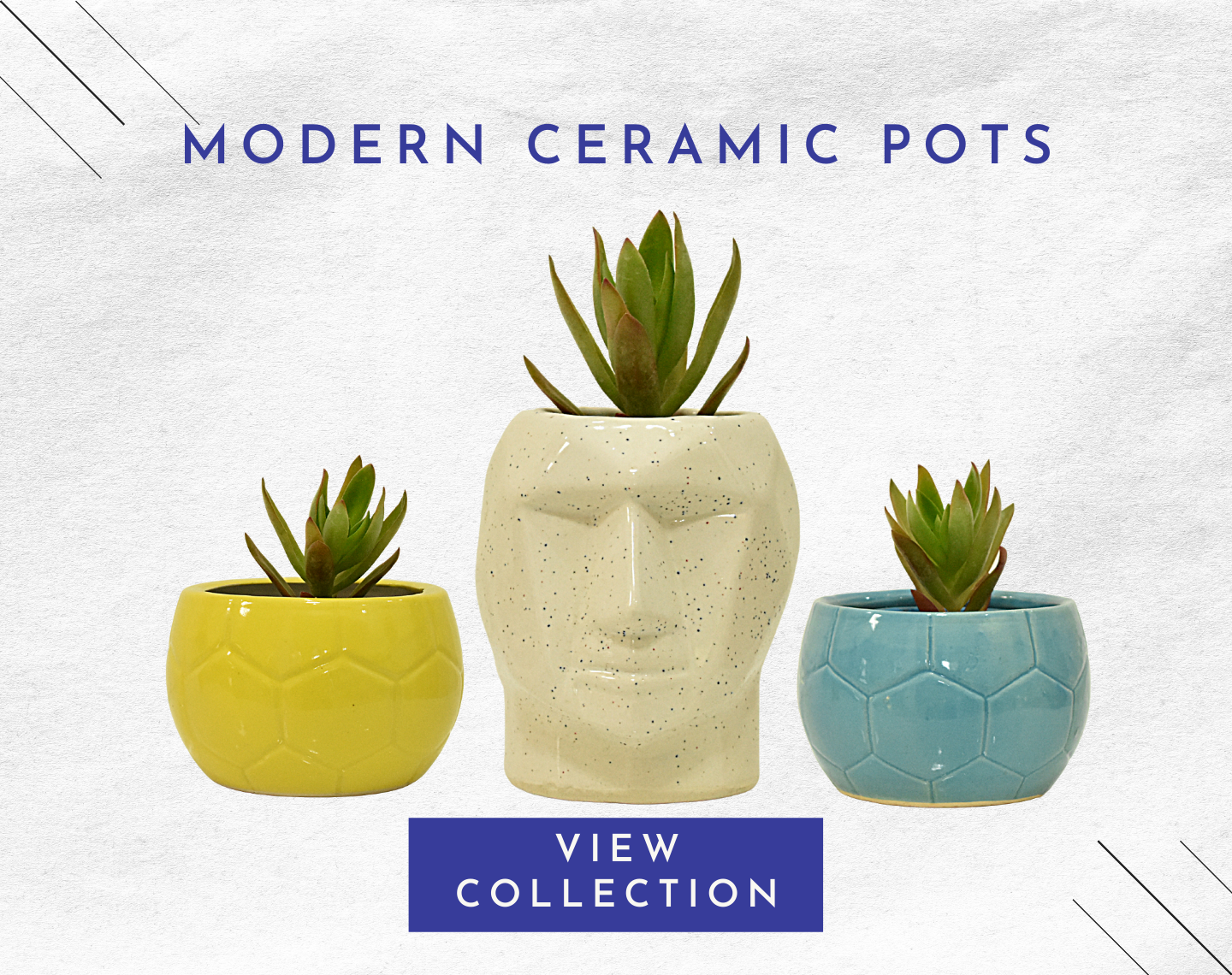 Ceramic Pot & Planters - Home BAEsic