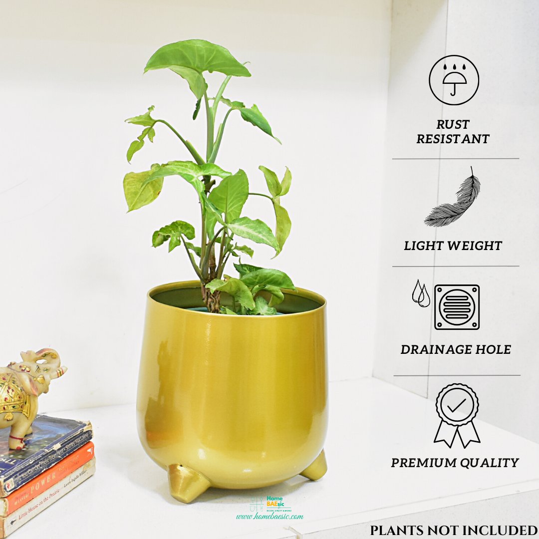 Aurum Best Selling Metal Planter by Home BAEsic | Shop Online for best metal pot and planters
