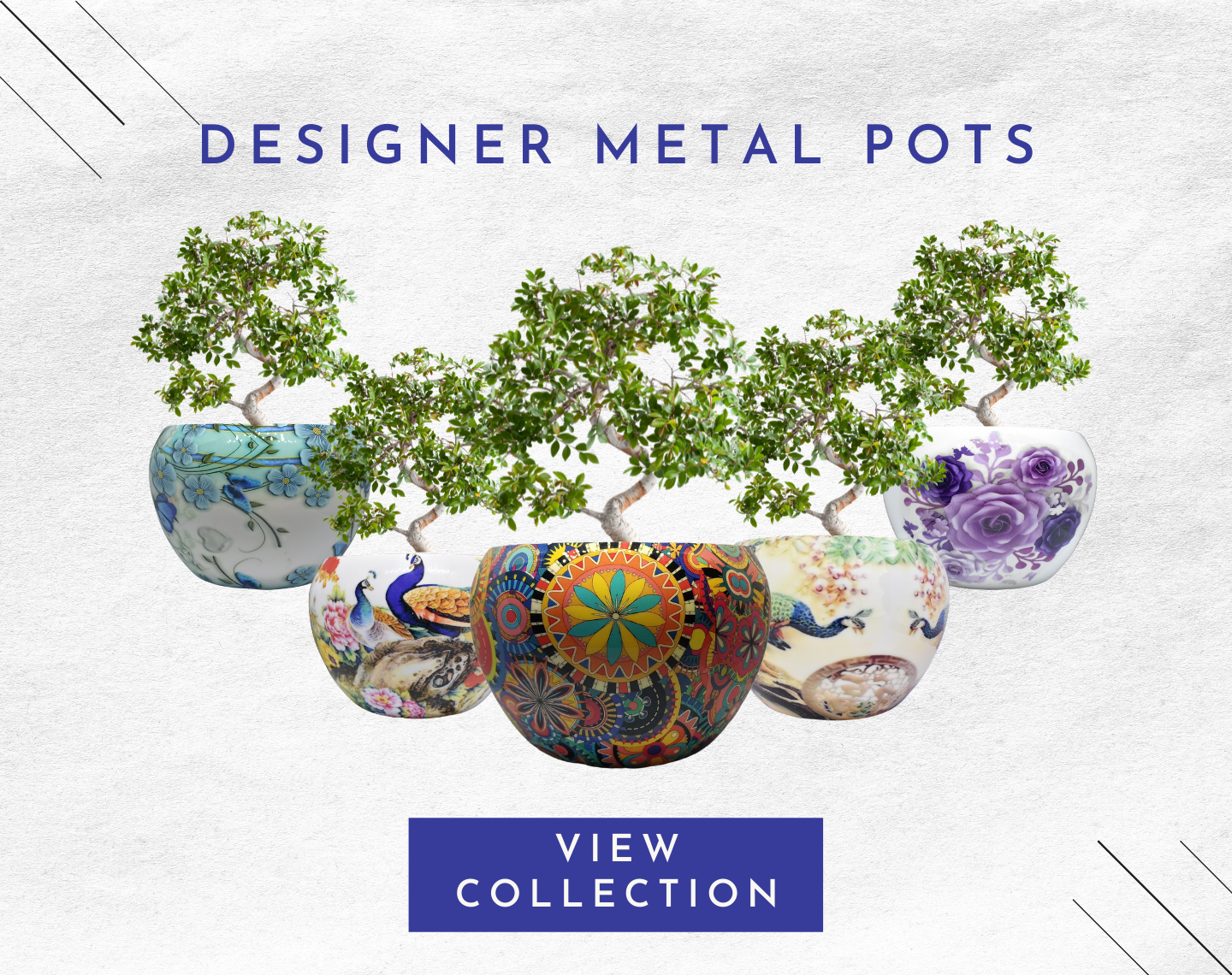 Metal Pot & Planters - Home BAEsic