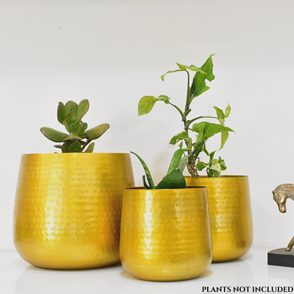 hammered gold plant pot Allura Golden Finish Hammered Indoor Metal Planters For Home & Garden – Home BAEsic