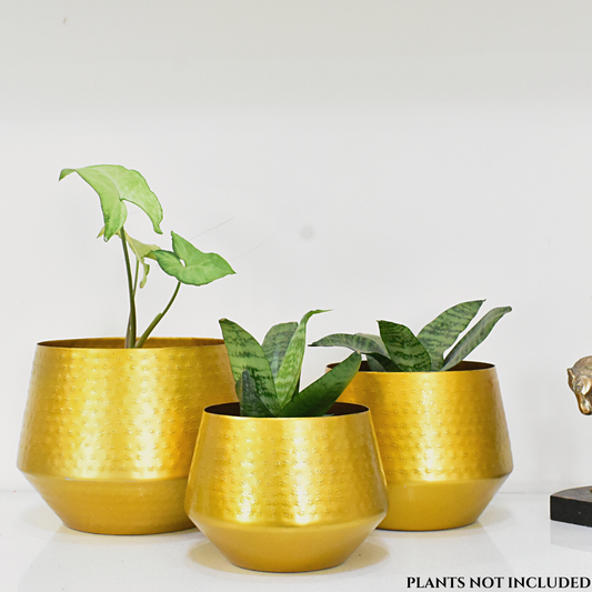 Arizona Golden Finish Textured Indoor Metal Planters For Home & Garden | Set of 3