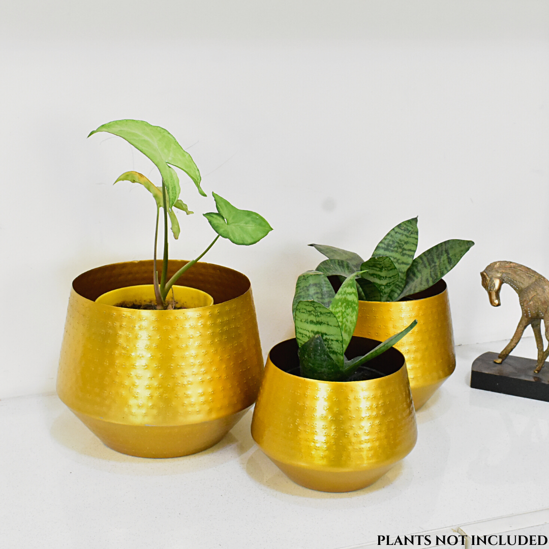 Arizona Golden Finish Textured Indoor Metal Planters For Home & Garden | Set of 3