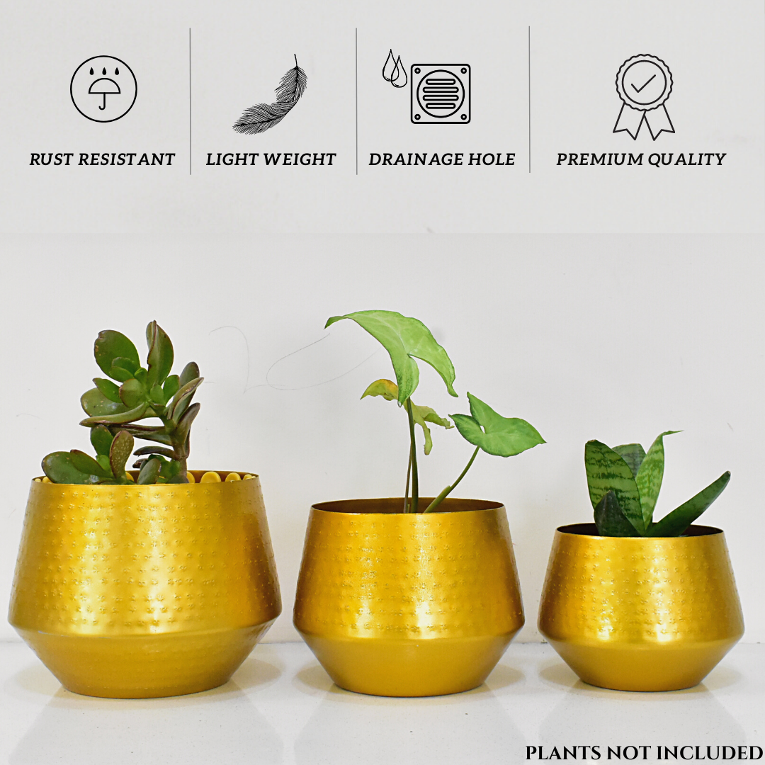Arizona Golden Finish Textured Indoor Metal Planters For Home & Garden | Set of 3