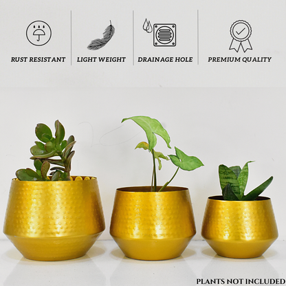 Arizona Golden Finish Textured Indoor Metal Planters For Home & Garden | Set of 3