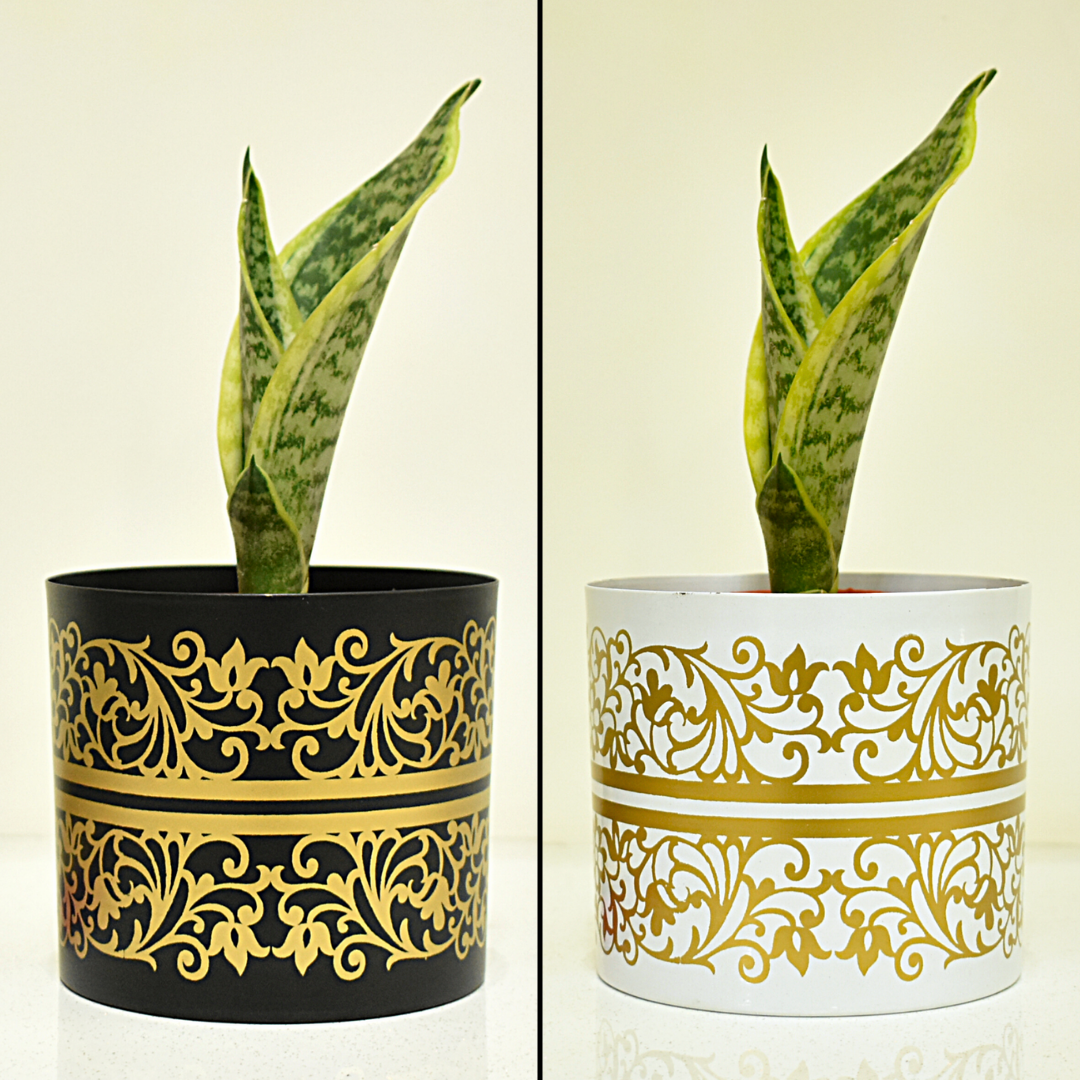 Super Saver Combo | Black & White Golden Floral Indoor Metal Planter With Metal Stand | Home & Garden | 5 Inches