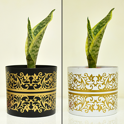 Super Saver Combo | Black & White Golden Floral Indoor Metal Planter With Metal Stand | Home & Garden | 5 Inches
