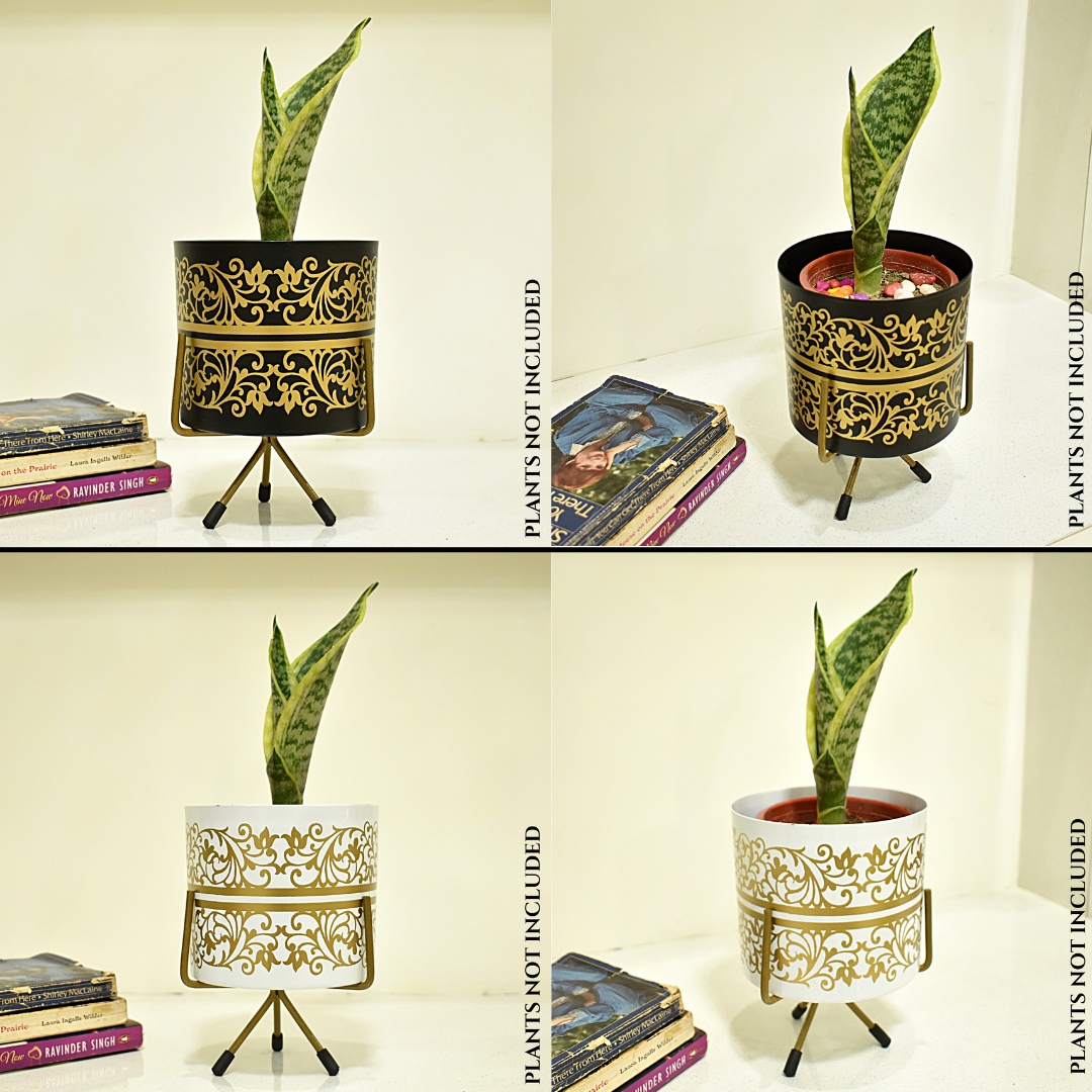 Super Saver Combo | Black & White Golden Floral Indoor Metal Planter With Metal Stand | Home & Garden | 5 Inches