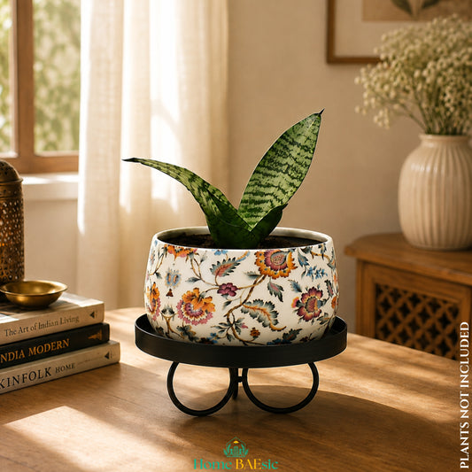 Blossom Paradise floral metal planter with snake plant displayed on a black metal tray stand in a modern Indian home setting.