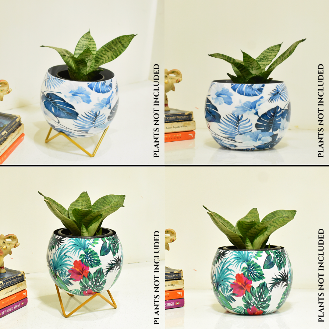 Super Saver Combo | Blue Monstera & Hibiscus Indoor Metal Planter With Metal Stand | Home & Garden | 6 Inches