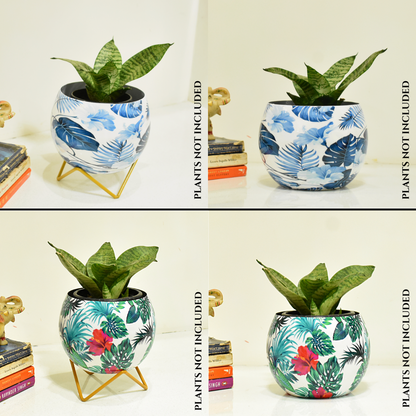 Super Saver Combo | Blue Monstera & Hibiscus Indoor Metal Planter With Metal Stand | Home & Garden | 6 Inches