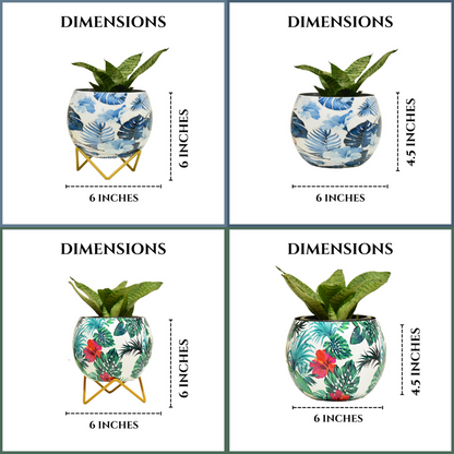 Super Saver Combo | Blue Monstera & Hibiscus Indoor Metal Planter With Metal Stand | Home & Garden | 6 Inches