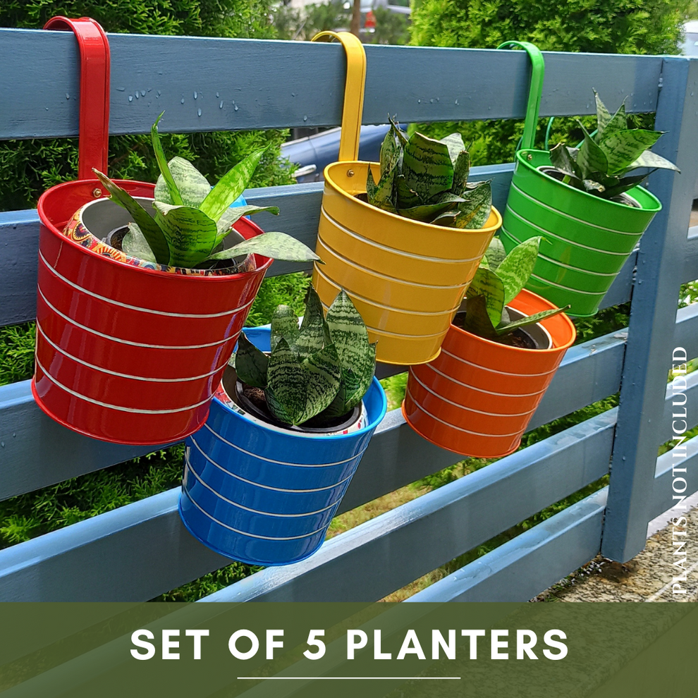 Bucket Shape Railing Metal Planters - Set of 5 | Available in Vibrant ...