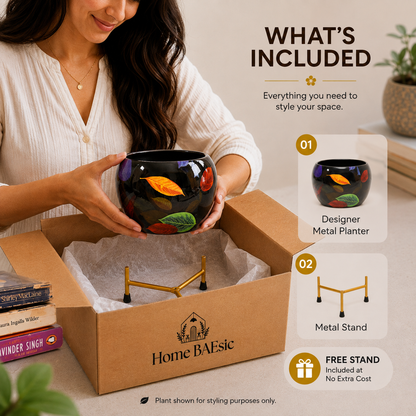 A woman holds a black metal planter with colorful leaf decals above an open cardboard box labeled Home BAEsic. The image includes a 'What's Included' panel showing the planter, gold-colored metal stand, and a free stand offer.