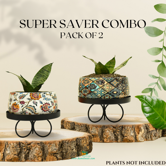 Planter with tray stand combo | 6 Inches | Home BAEsic | Home and Garden