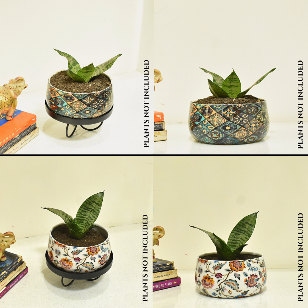 Planter with tray stand combo | 6 Inches | Home BAEsic | Home and Garden