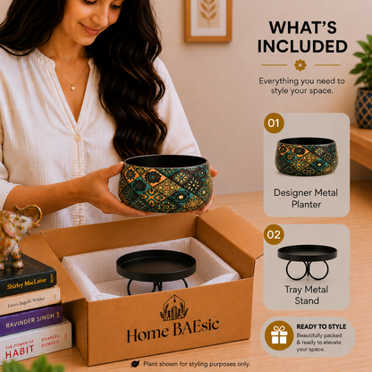 A woman holds a decorative metal planter bowl above an open Home BAEsic box, with a tray metal stand inside and a 'What's Included' graphic overlay on the right. The planter has a black base with intricate gold, green, and teal geometric patterns.