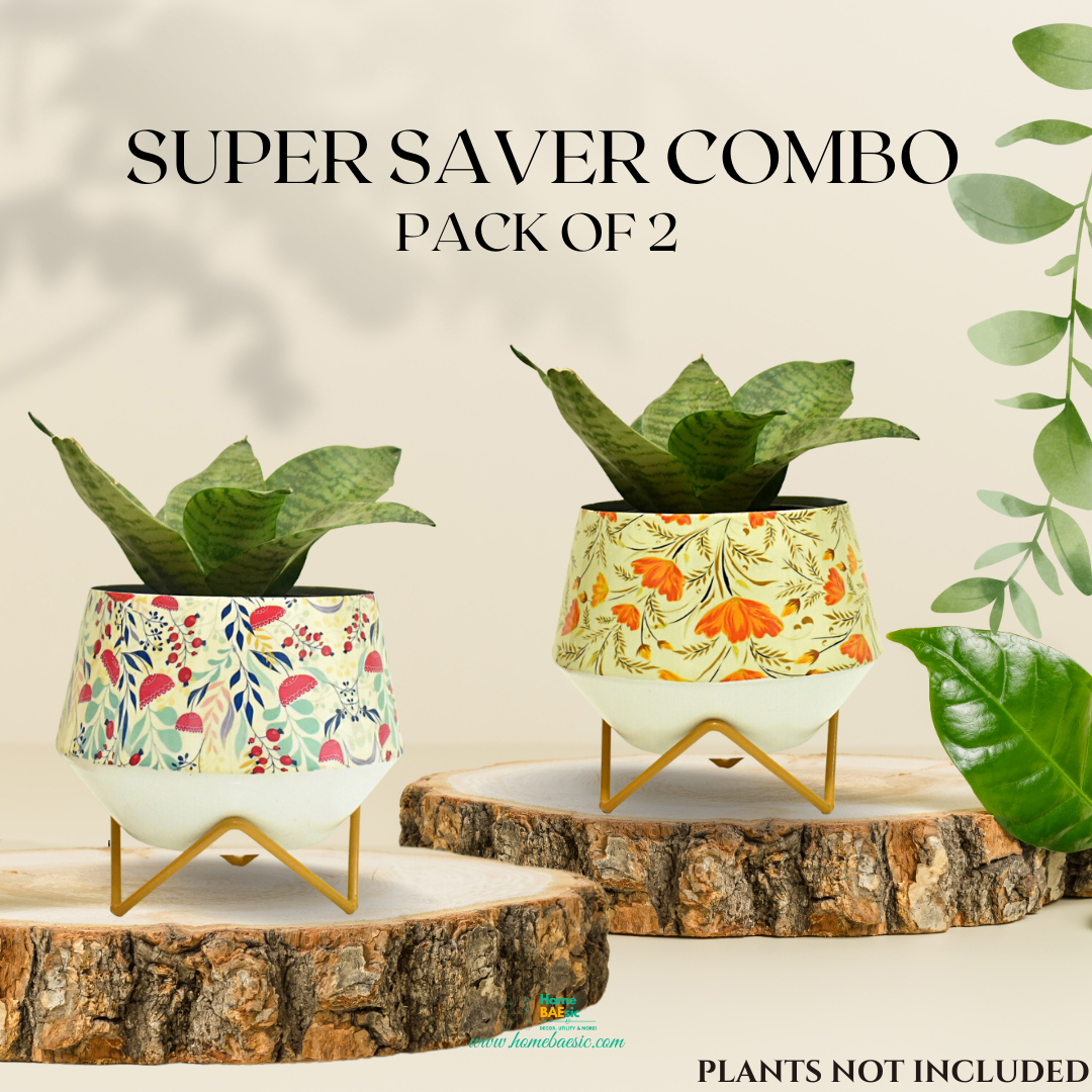 Pot and Planter combo for indoor home and garden | Home BAEsic