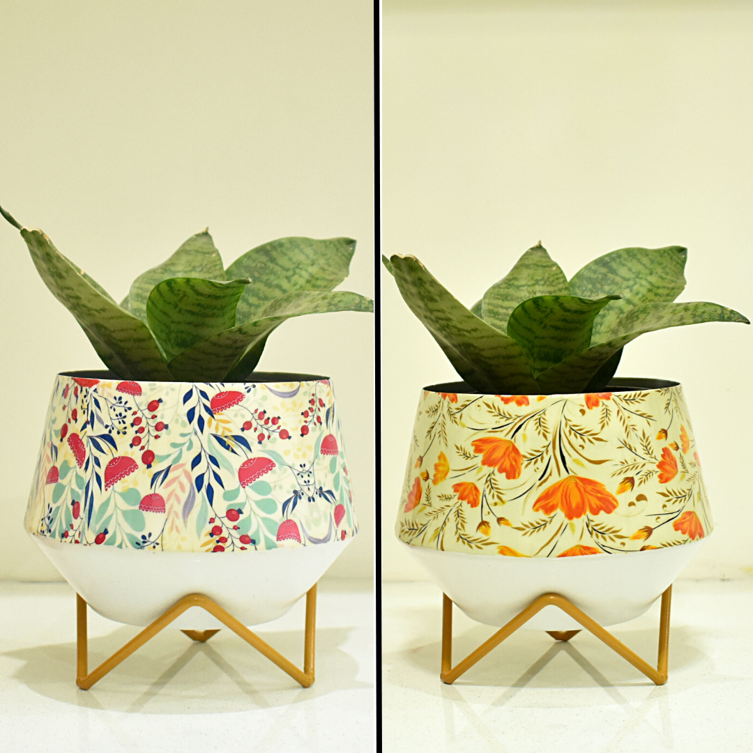 Pot and Planter combo for indoor home and garden | Home BAEsic