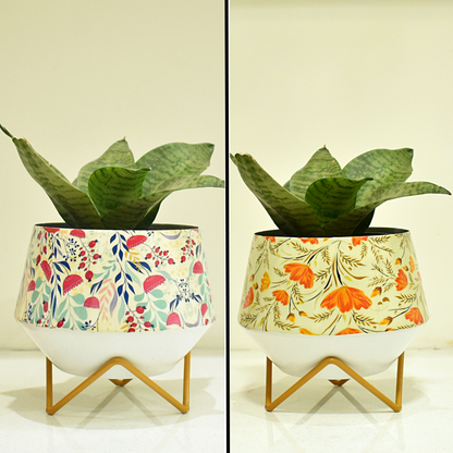 Pot and Planter combo for indoor home and garden | Home BAEsic
